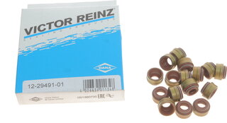 Victor Reinz 12-29491-01