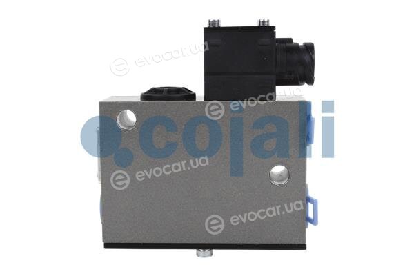 Cojali 2309127