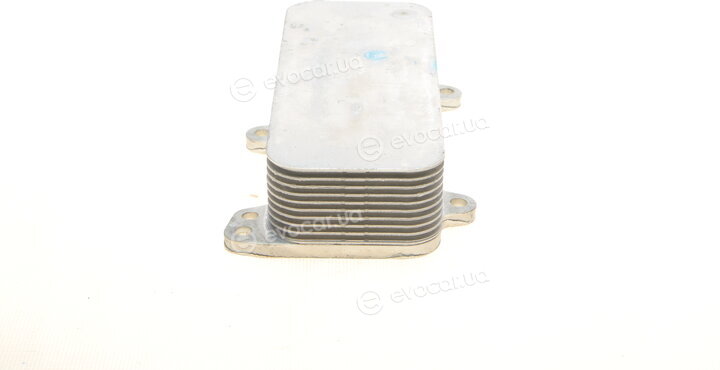 Van Wezel 58013707