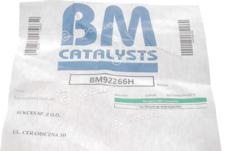 BM Catalysts BM92266H
