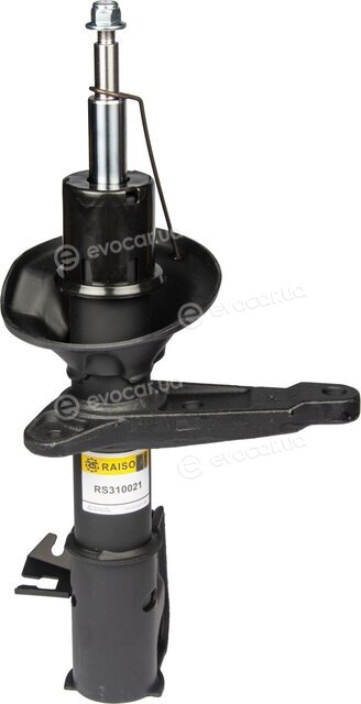 Raiso RS310021