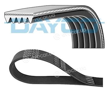 Dayco 5PK1010HD