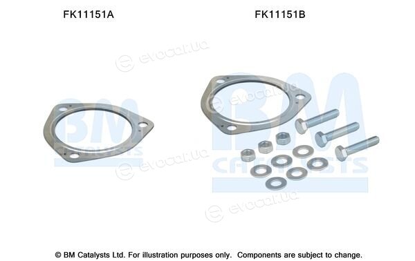 BM Catalysts FK11151