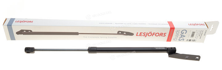 Lesjofors 8126152