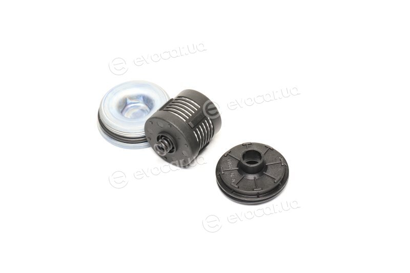 BorgWarner DS120456
