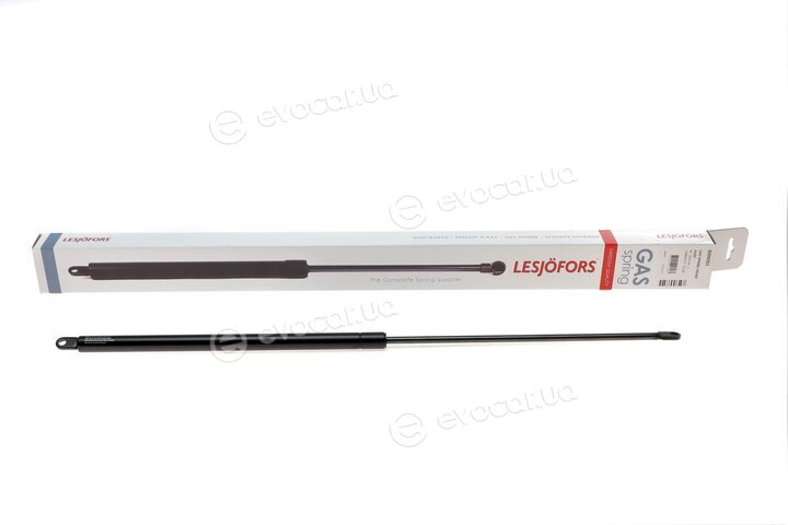 Lesjofors 8004201