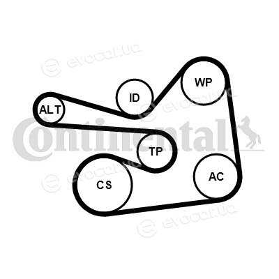 Continental 6PK1830K1