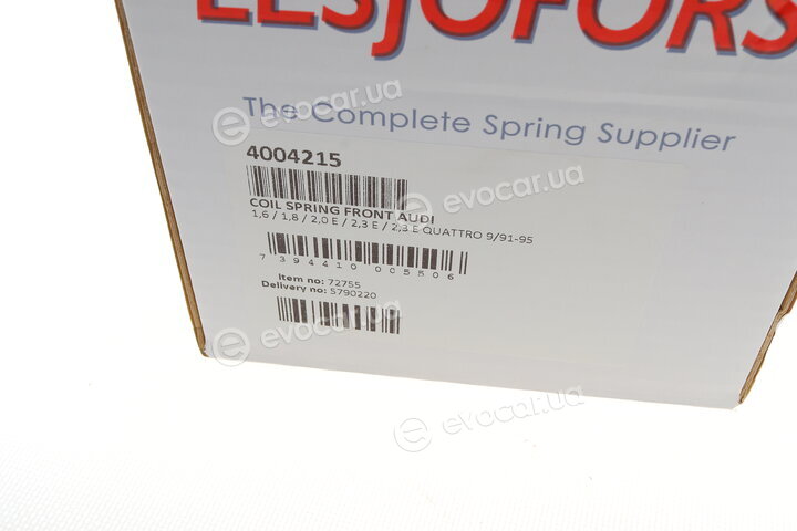 Lesjofors 4004215