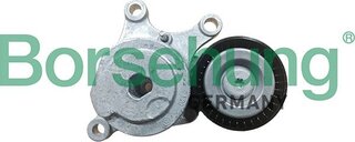 Borsehung B13089