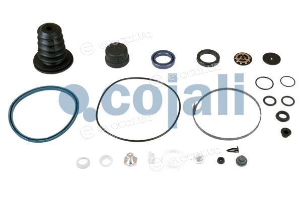 Cojali 6034033