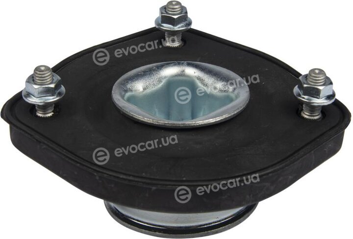 Raiso RC05239