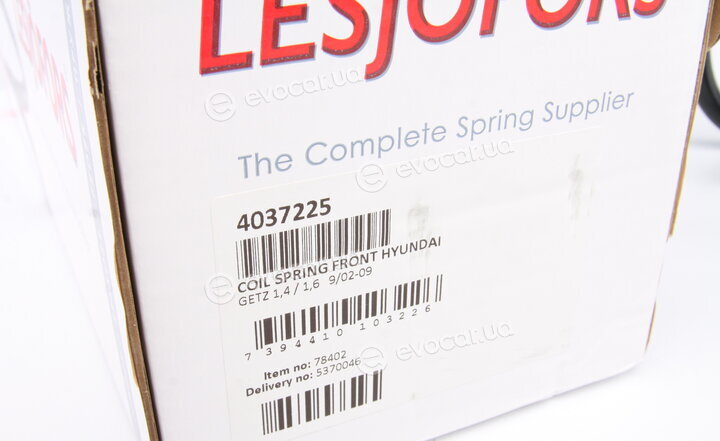 Lesjofors 4037225