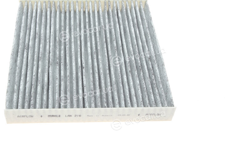 Mahle LAK 216