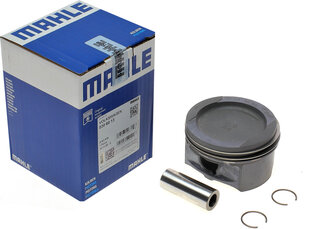 Mahle 030 60 13