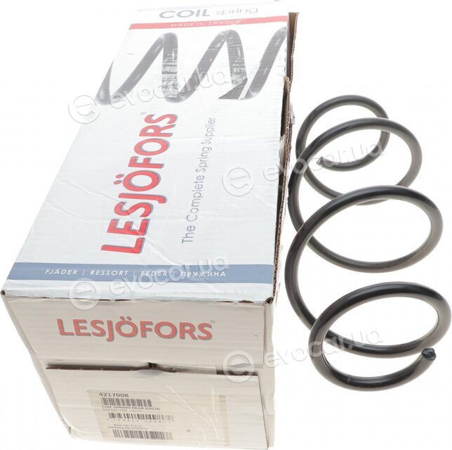 Lesjofors 4217008