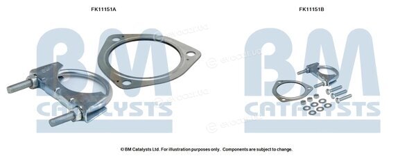 BM Catalysts FK11151