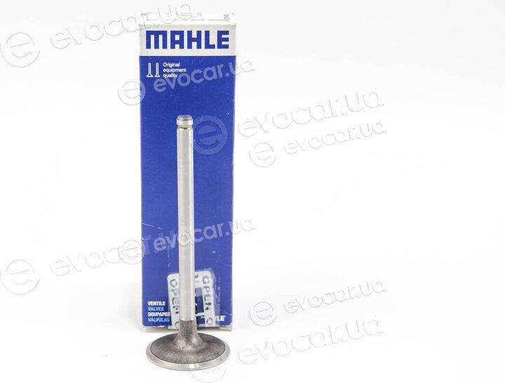 Mahle 021 VE 30386 000