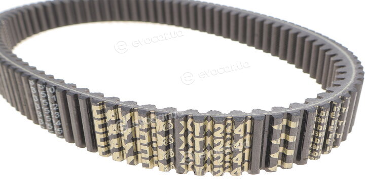 Dayco XTX2241
