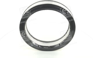 Champion CAF100102R