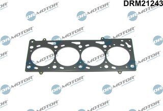 Dr. Motor DRM21243