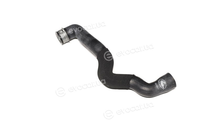 Gates 05-3517