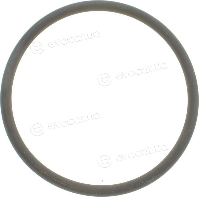 Febi 100165