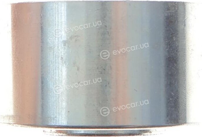 Dayco KTBWP4490