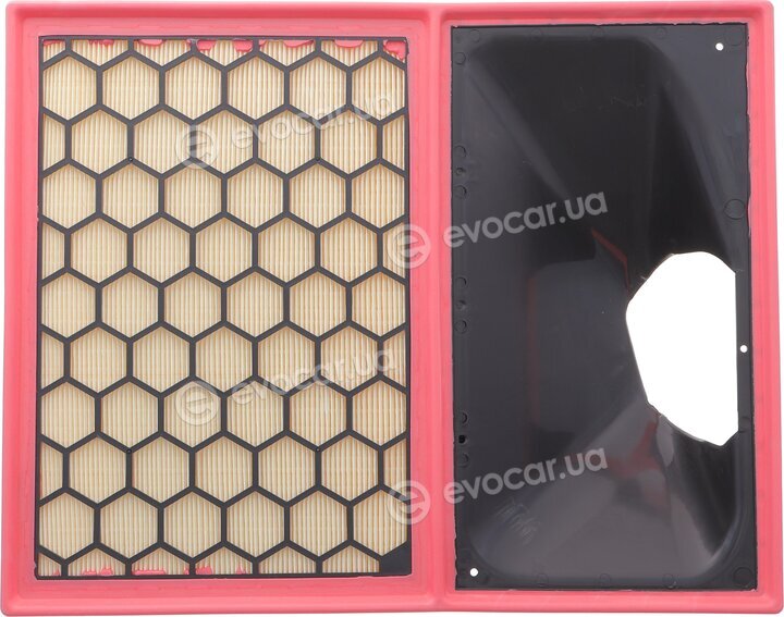 Solgy 103159