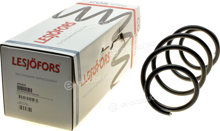 Lesjofors 4056876