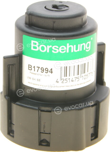 Borsehung B17994