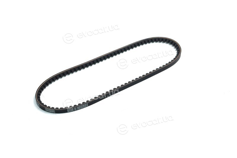 Dayco 10A0800C