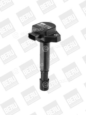 Beru ZSE170