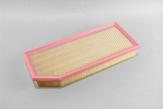 Goodrem RF1223SWB
