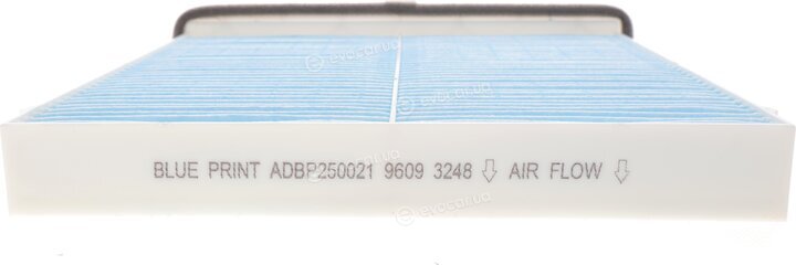 Blue Print ADBP250021