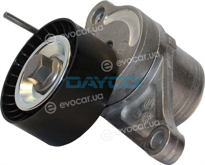 Dayco APV3179