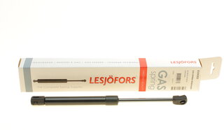 Lesjofors 8104202