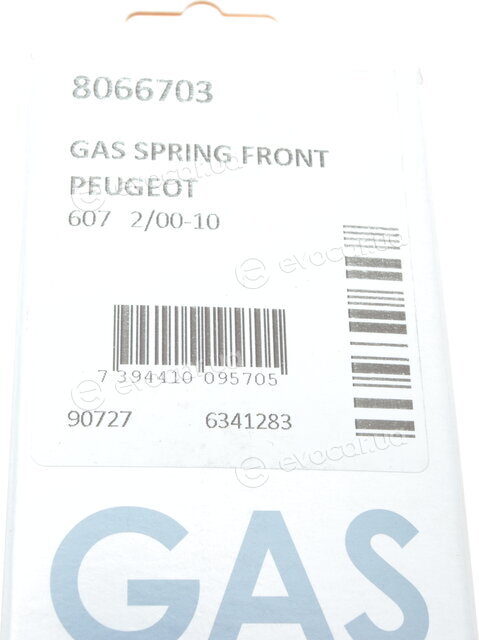 Lesjofors 8066703
