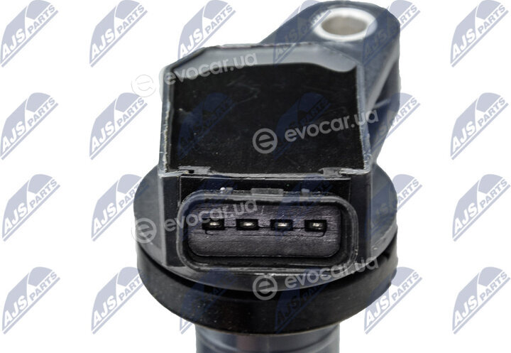 NTY ECZ-TY-006