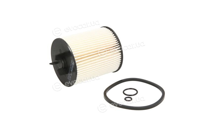 Filtron PE 973/5