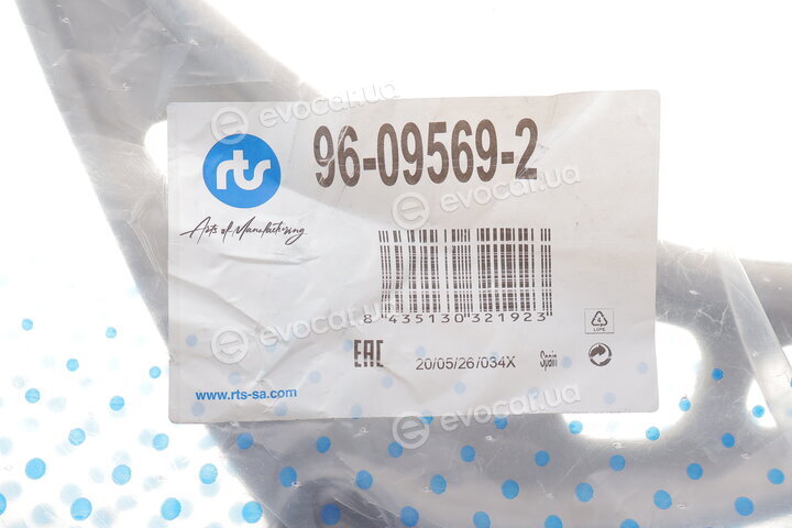 RTS 96-09569-2