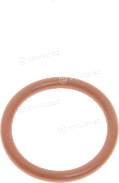 Elring 399.601