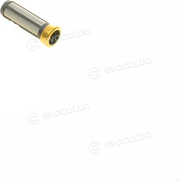 Bosch F 01M 101 785