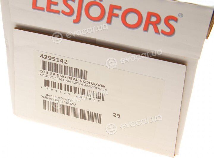 Lesjofors 4295142