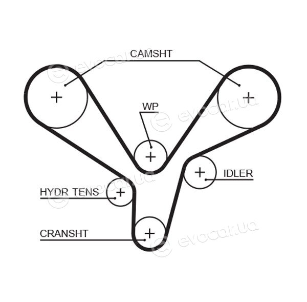 Gates K015636XS