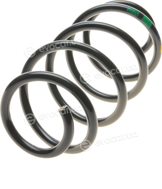Borsehung B12625