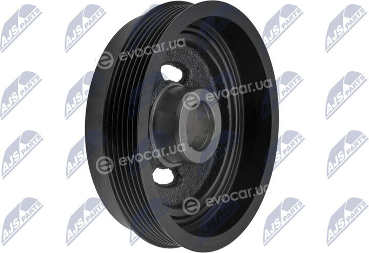 NTY RKP-NS-005