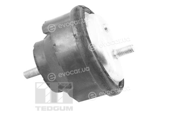 Tedgum TED12723