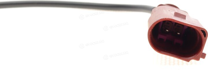 Solgy 115079