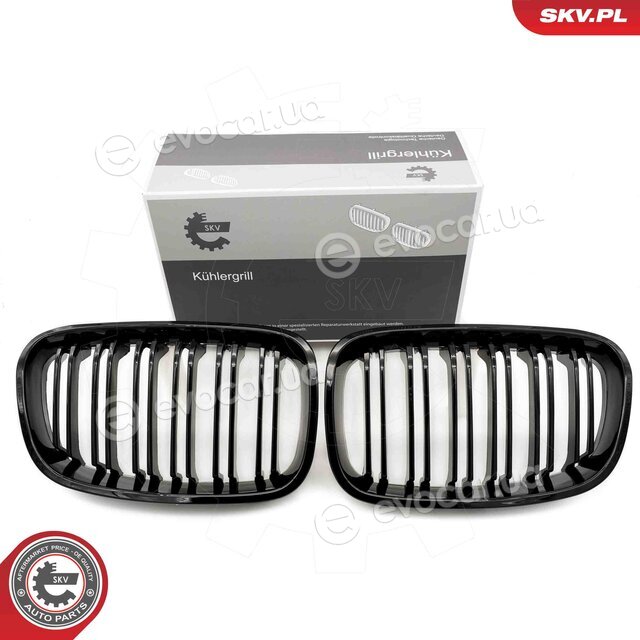 SKV 66SKV016