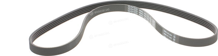 Dayco KPV634